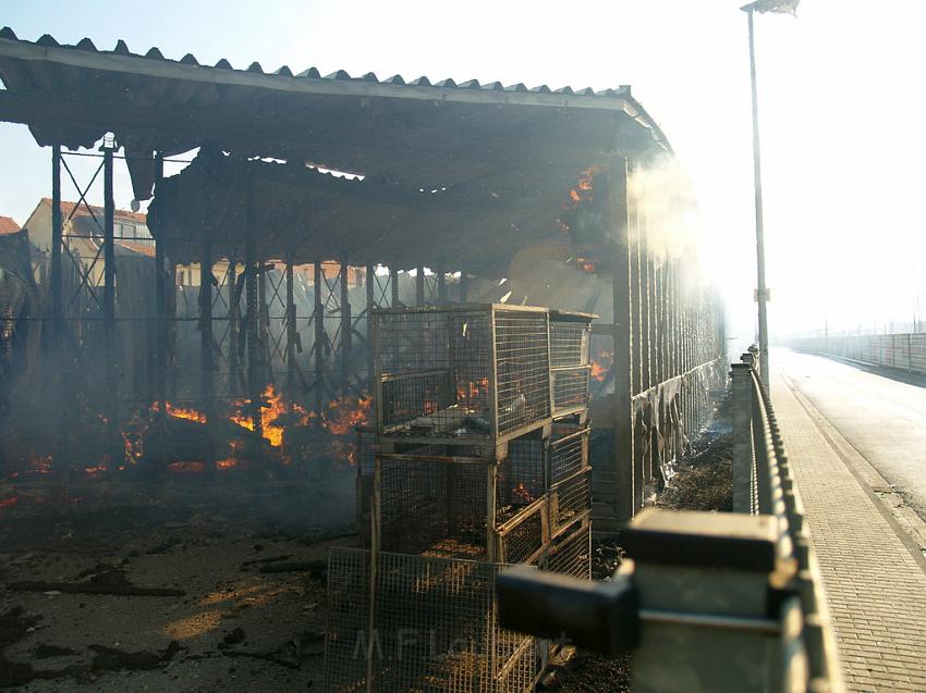 Grossbrand Holzlager Siegburg Industriestr P035.JPG